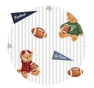 Touchdown Teddy