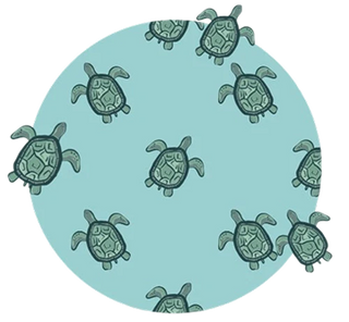 TURTLE BAY