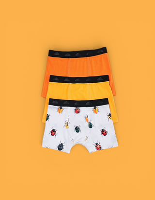 BUG LIFE DREAM BOY'S BOXER BRIEF SET