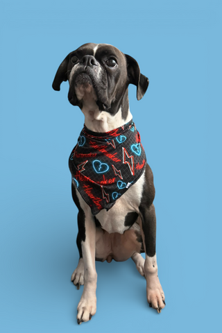 HEARTBREAKER DREAM DOG BANDANA