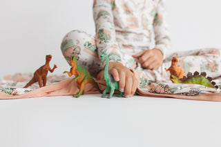 DINO DELIGHT DREAM BLANKET