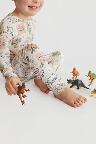 DINO DELIGHT DREAM ROMPER