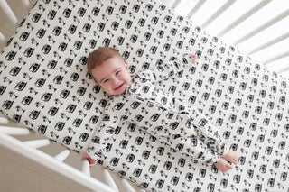 COASTAL CRUISER DREAM CRIB SHEET