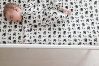 COASTAL CRUISER DREAM CRIB SHEET