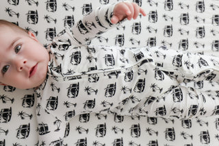 COASTAL CRUISER DREAM CRIB SHEET
