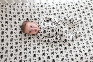 COASTAL CRUISER DREAM CRIB SHEET