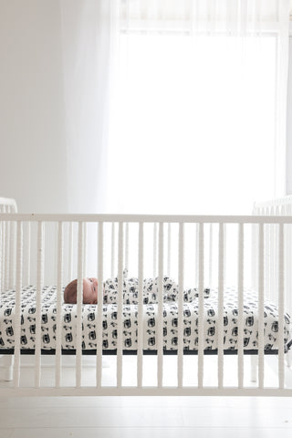 COASTAL CRUISER DREAM CRIB SHEET