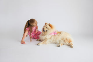 ELOISE ROYAL RIBBONS DREAM DOG BANDANA