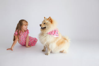 ELOISE ROYAL RIBBONS DREAM DOG BANDANA