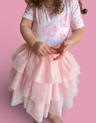 BLUSH BUNNY TOILE DREAM TUTU DRESS