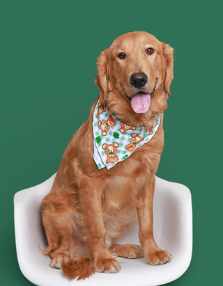 TEDDY O'LUCK DREAM DOG BANDANA