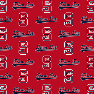SLAM SOX WOMEN'S DREAM FLARE SET