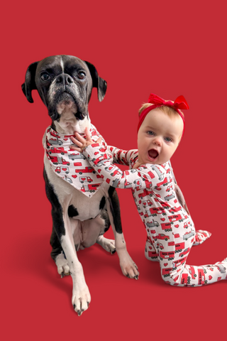 HAULIN' HEARTS DREAM DOG BANDANA