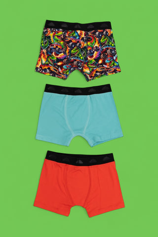ROAR & REV DREAM BOY'S BOXER BRIEF SET