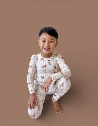 PAWFECT PALS DREAM SET