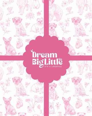 DREAM BIG LITTLE CO DIGITAL GIFT CARD
