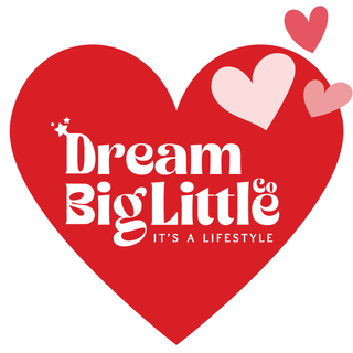 DREAM BIG LITTLE CO