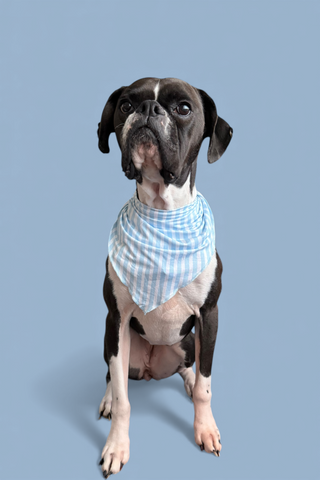 SEASIDE STRIPE DREAM DOG BANDANA