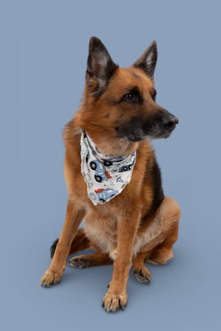 LOVE UNDER CONSTRUCTION DREAM DOG BANDANA