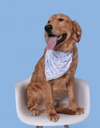 BLUEBELL EASTER TOILE DREAM DOG BANDANA