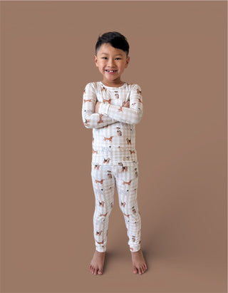 PAWFECT PALS DREAM SET