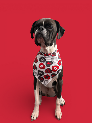 CROSS MY HEART DREAM DOG BANDANA