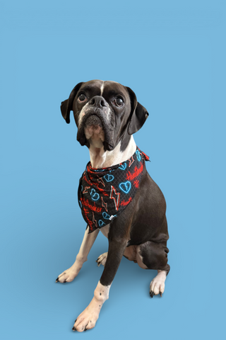 HEARTBREAKER DREAM DOG BANDANA