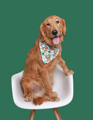 TEDDY O'LUCK DREAM DOG BANDANA