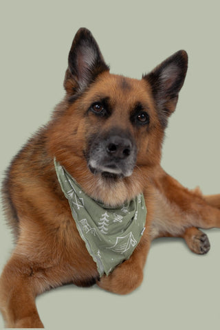 WILDERNESS WONDER DREAM DOG BANDANA