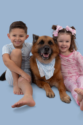 SEASIDE STRIPE DREAM DOG BANDANA