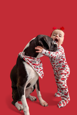 HAULIN' HEARTS DREAM DOG BANDANA