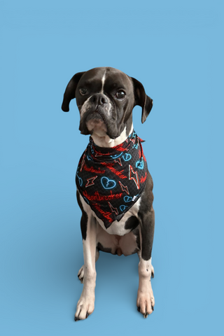 HEARTBREAKER DREAM DOG BANDANA