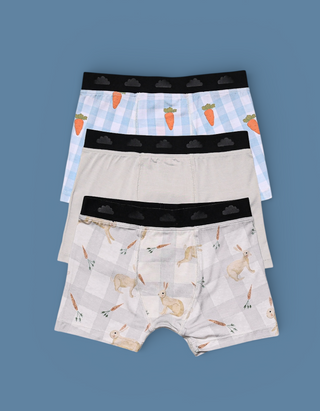 MEADOW HOP DREAM BOY'S BOXER BRIEF SET