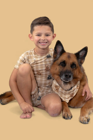 TEDDY CHECK DREAM DOG BANDANA