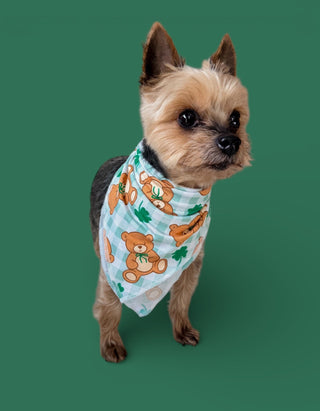TEDDY O'LUCK DREAM DOG BANDANA