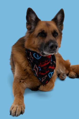 HEARTBREAKER DREAM DOG BANDANA