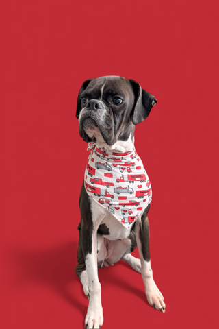 HAULIN' HEARTS DREAM DOG BANDANA
