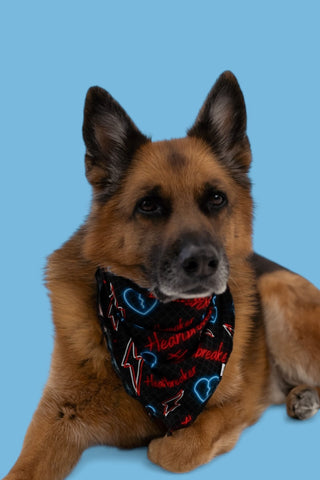 HEARTBREAKER DREAM DOG BANDANA