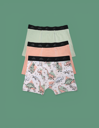 DINO DELIGHT DREAM BOY'S BOXER BRIEF SET